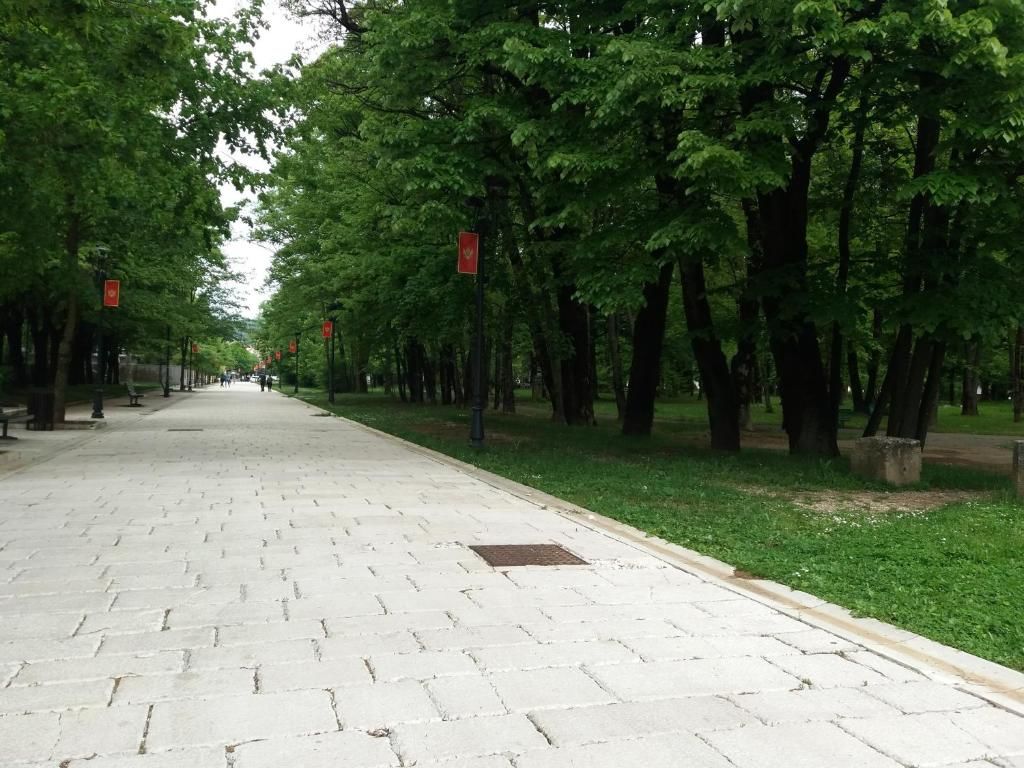 Апартаменты Apartment Mirkovic Цетине