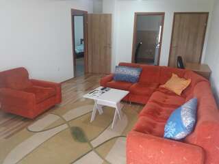 Апартаменты Apartment Mirkovic Цетине Апартаменты с 2 спальнями-18