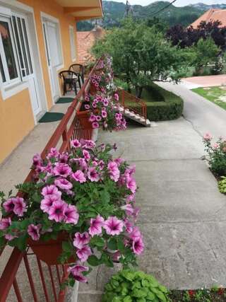 Апартаменты Apartment Mirkovic Цетине Апартаменты с 2 спальнями-55