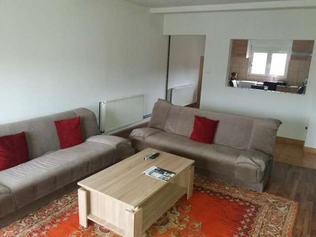 Апартаменты Apartment Mirkovic Цетине-49