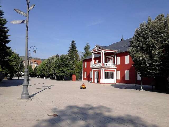 Апартаменты Apartment Mirkovic Цетине-69