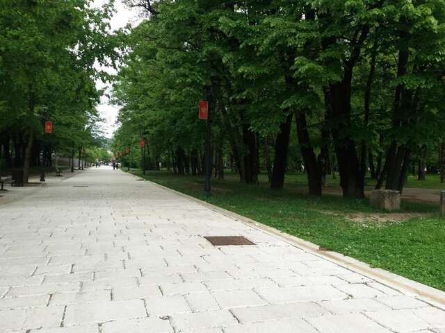 Апартаменты Apartment Mirkovic Цетине-91